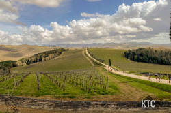 2025-03-20 Chianti Ultra Trail - IMG_6371